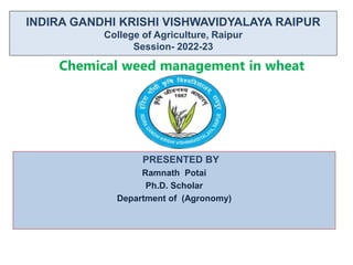 INDIRA GANDHI KRISHI VISHWAVIDYALAYA RAIPUR
College of Agriculture, Raipur
Session- 2022-23
PRESENTED BY
Ramnath Potai
Ph.D. Scholar
Department of (Agronomy)
j
Chemical weed management in wheat
 
