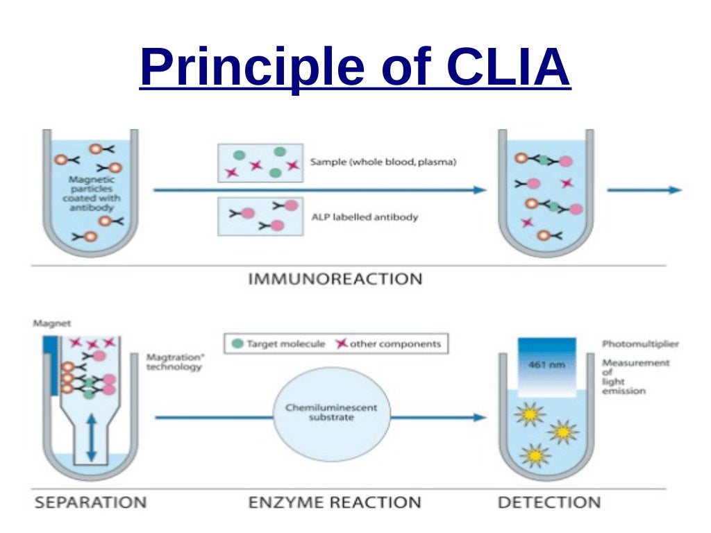 Chemiluminescence assay