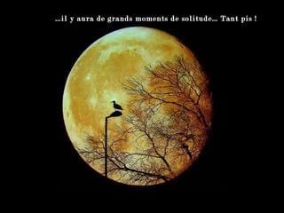 … il y aura de grands moments de solitude… Tant pis ! 