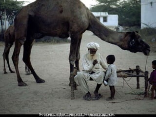 Souvent, elles nous ont beaucoup appris.  
