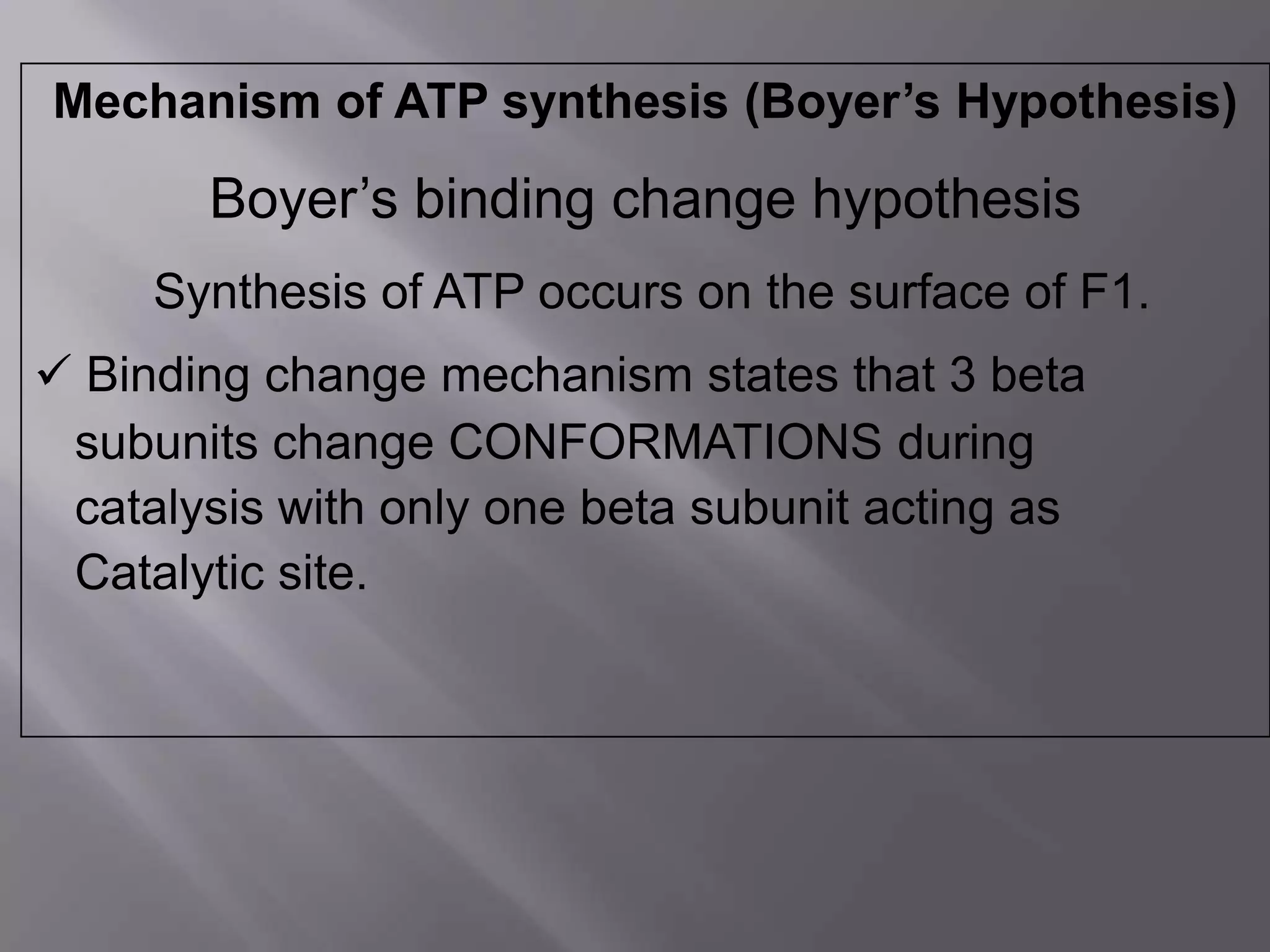 Mechanism of ATP synthesis (Boyer’s Hypothesis)
Boyer’s binding change hypothesis
Synthesis of ATP occurs on the surface of F1.
 Binding change mechanism states that 3 beta
subunits change CONFORMATIONS during
catalysis with only one beta subunit acting as
Catalytic site.
 