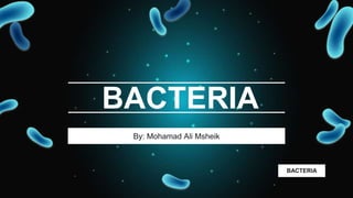 By: Mohamad Ali Msheik
BACTERIA
BACTERIA
 