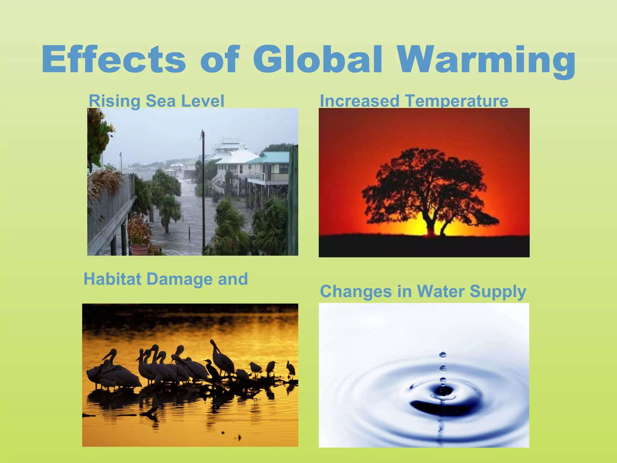 Effects of Global Warming
  Rising Sea Level     Increased Temperature




  Habitat Damage and
                       Changes in Water Supply
  Species Affected
 