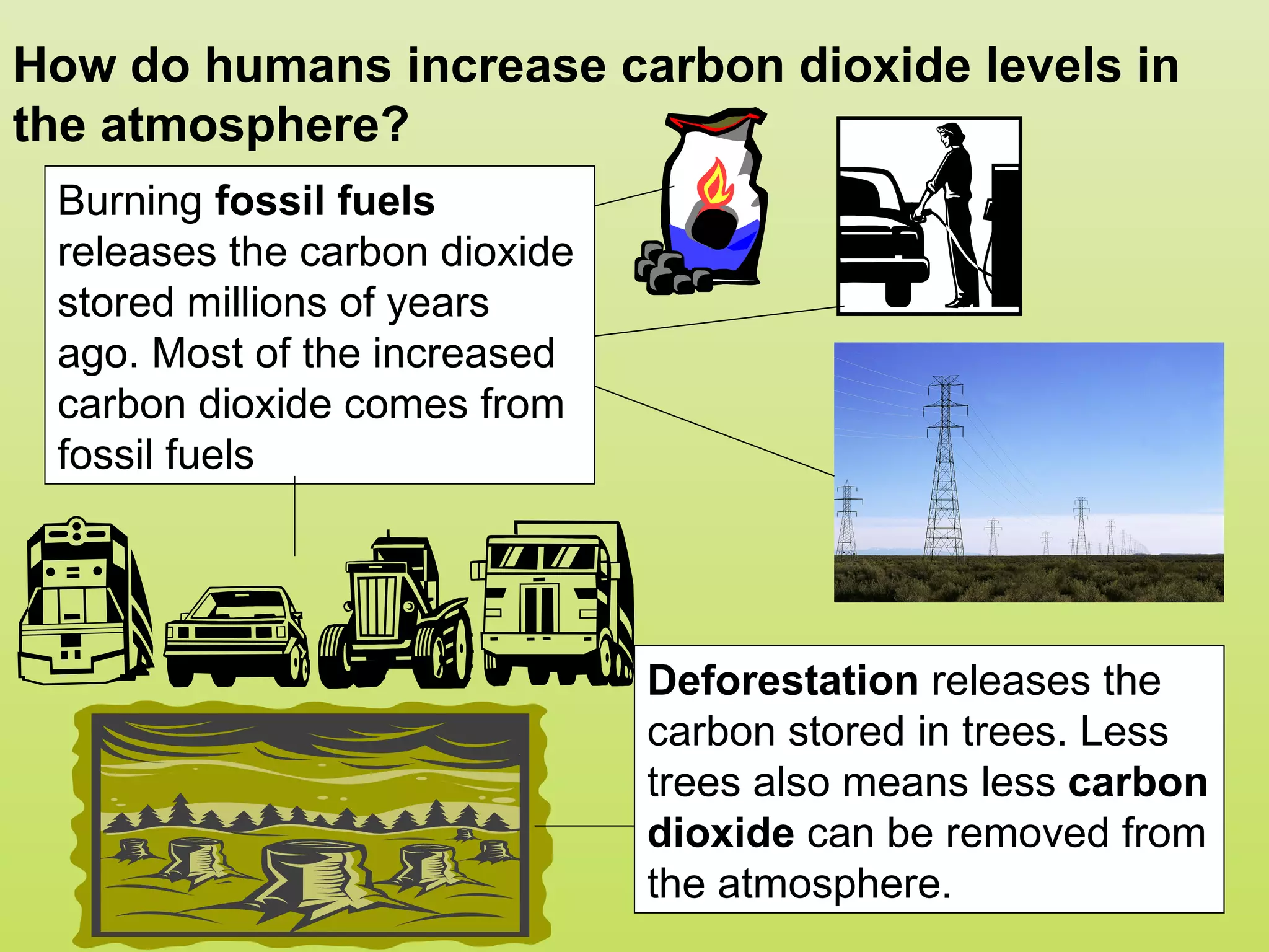 How do humans increase carbon dioxide levels in
the atmosphere?
 Burning fossil fuels
 releases the carbon dioxide
 stored millions of years
 ago. Most of the increased
 carbon dioxide comes from
 fossil fuels




                               Deforestation releases the
                               carbon stored in trees. Less
                               trees also means less carbon
                               dioxide can be removed from
                               the atmosphere.
 