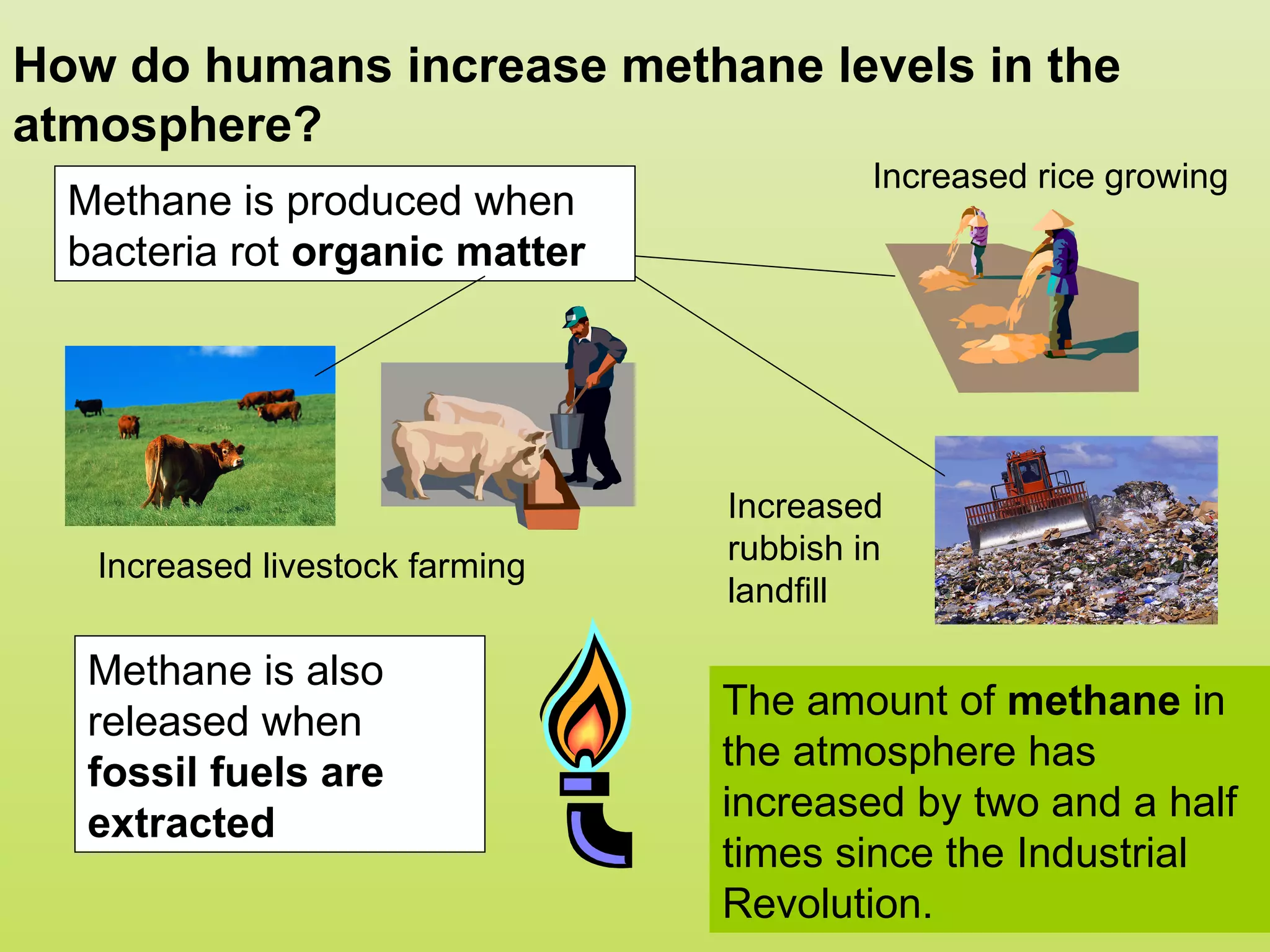 How do humans increase methane levels in the
atmosphere?
                                          Increased rice growing
  Methane is produced when
  bacteria rot organic matter




                                 Increased
                                 rubbish in
   Increased livestock farming
                                 landfill

   Methane is also
   released when                 The amount of methane in
   fossil fuels are              the atmosphere has
   extracted                     increased by two and a half
                                 times since the Industrial
                                 Revolution.
 