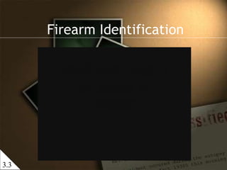 Firearm Identification 3.3 