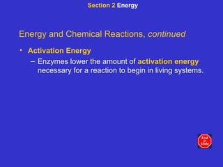 Section 2  Energy Energy and Chemical Reactions,  continued Activation Energy Enzymes lower the amount of  activation energy  necessary for a reaction to begin in living systems. 