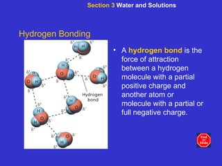 Section 3  Water and Solutions Hydrogen Bonding A  hydrogen bond   is the force of attraction between a hydrogen molecule with a partial positive charge and another atom or molecule with a partial or full negative charge. 