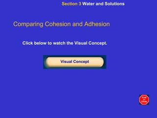 Click below to watch the Visual Concept. Visual Concept Comparing Cohesion and Adhesion Section 3  Water and Solutions 