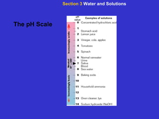 The pH Scale Section 3  Water and Solutions 