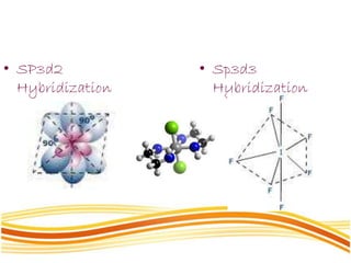 • SP3d2
Hybridization
• Sp3d3
Hybridization
 