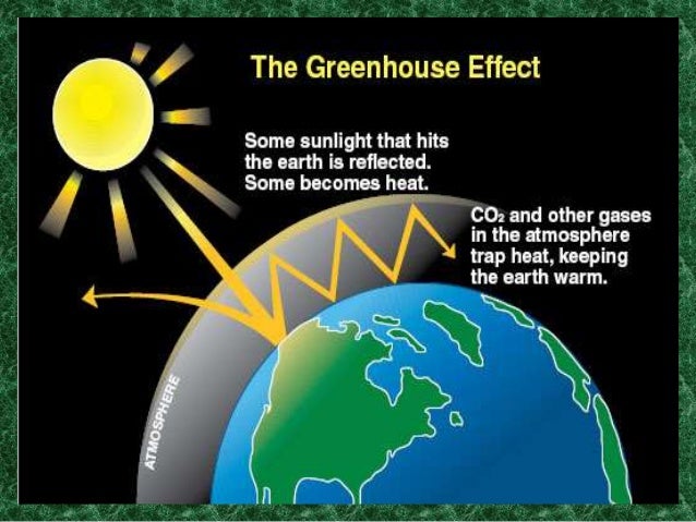 write any three causes and effects of air pollution
