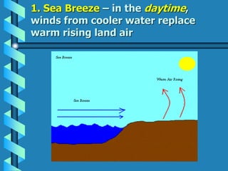 1. Sea Breeze – in the daytime,
winds from cooler water replace
warm rising land air
 