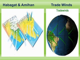 Habagat & Amihan Trade Winds
 