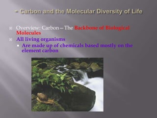 - Carbon and the Molecular Diversity of Life Overview: Carbon—The Backbone of Biological Molecules All living organisms Are made up of chemicals based mostly on the element carbon 