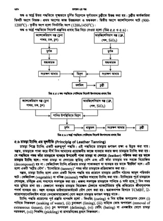~__..I 9f1f.m ~"1~Rti~ ~ 11----'
i
~~1~~~~1 >-[!!]
fii.~.~ ··~~~ ...~~.~
ct.~~* dl'f wt~~ (Principle of Leather Tanning)
~ ~ ~ !j-.fl; ~~~tof ~I !j~ 91'4tf!it! ~ OCftO't ~ '6 ~<Rf~ I
~' bliliilC4 "'1tcJt <Rf ~ ~ <:54liilC"f'A t!tC!Jlet~!J ~ ~ ~ ~ ~~CRT~ I
~ '*f•IWc• ~ 4'l5t 6111lilt• ~ ttrft'4"" 9f14"t ~ -. ""'1tl (leather) ~ CRt ~ ._.
'6t1l'1I ~ CftWr 1 .~ ~ ~ 011llfte<sB1 ~ ~ ~~ ~~ ~ ~ ~ ~ Fcic1ufi't!)
(decomposed)~~ I C<eflttrJ<qil ~ !:1~141 ~ "11<Pl+A<:>1 ~ ~ "6 '!STt<P ~~I ~~
Wft ~"4fit ~ ClJM' I 11JJl911~C!S (tannery)' 9f'ff "415f l>lii'flC<P t!t~lifl!S "+Al~ I
~' ~ ~ ~ ~'iii{ ~"<Pfft ~ ~ 1A ~ ~ ~ ~ ~ Yf~;q6ii
~ 1 ccefirtt6;q11{vegeteble) ~ ~ (mineral) ~ ~ Unfift. "+Al ~ I ~t111 9[t<if blil'flC<P
C611il$, ~ ~~ :>f<qC_,~ "f<q'1ft' CRl ~I ~'lfi1J 1t<q'118i blil'flC<P ~ 6 ~ ~.2 fife{ ':>flfl
'ftl ~ l'Mt ~ I C'OttlCill ~ ~ fciUUIM .~ <qJl<Pt'6ft41FSI ~ t!tNsC'SilC'f ~<ql'l-.1~
~ ~ "6 I ~ ~ '5f~1(flC411<Pl:.f1CilU ~ 00'1 "+Al ~ I ~~14911-t<P ~ TCMBT, [2-
1(f1Ull:>tl411Ci11~'41~ ~ C<ii1cstl'ilJl4ilcetldl) ~ ~ ~ ~ ~ ~ I
~ ~ !:IC411C'1'51 ~ ~ 'ft~fif ~ - ~t. (curing) ~ m ~ ·~~ ~ {i)
~ Pl'et+ACf (soaking of water), (ii) kill+ACf (liming); (iii) ~ ~ ~~ (removal of
extraneous tissues), (iv) ~ ~~ (deliming),. (vi) ~ (bating) -;qt ~~ ~ ~
i1'51il+ACf, (vii) f9r<Pfif'. (pickling) -;qt '51111141MC+A ~ Pi"11'1 1
~l'AMCd1Pt411'1 ;q (Ci',
c-fWJ, Si02)
4Jlif1C4~411'1 • (Ft
~,ff,F{)
~& ~~···
"~ -e q ~ "'1,Nic! "!'*1'5l<A ~ fil?J~ .,-fi~iilil ~ ~ ~ ~ 1 ~ 41(41f<Ns1
~ ~t-t ~ I ef~ ~'t-m '4m ~cf '6 "~ I ~ ~'t-1 4Jlwt~Ci1"M ~ (900-
12000C) I~ ~11f W'l'T ~~UIH~ ~11f (1200.1450°C) I
~~ '6 q "'1'4tf!iC'!S ~ ~ ~ ~ ~ 01'61Jl ~ (~ (l'.<l' '6 (l'.~) I
4Jld1C4~411'1 ~ (F« . ~l~filC'1Pt411'1 "Q (Ci',
~, ff, F) c-fWJ, Si02)
 
