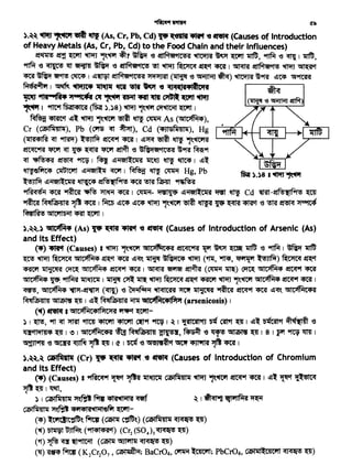 ~ 1Plt1lif <t2t
).~~ ~ ~ 'etlt lftt (As, Cr, Pb, Cd)~~ -.1t't ~ ~ (Causes of Introduction
of HeavyMetals (As, Cr, Pb, Cd) to the Food Chain and their Influences)
~~ ~ ~ ~ ~~ <Jt? ~ '6 ~ ~ ~~ ~ ~' ~ '6 ~I~'
9ftf.f-e~llt~~'6~~~~~~1~~~~ct
<rnf~~~l~~~~(~'6~~)~~~ ~~ 1'5f9ftff
f4'5'51Wlttt 1 ~ ~ 'Sft'U1f ~ ._ ~ ~ :co,i(lt•ltlcift ~
1jro"llt""fft• 'f*"IC4t C1f ~ 'ffin'C'5lt 1ft1r ~ ~ ~ (~ -e ~ ~)
~I 9ftt-t f6ail<PIC'51 (f5ijJ :>.:>8) ~~~~~I
~ ~ ~~ ~ 11'-~ ~ ~ ~As (GllC?fM<P),
Cr (Wiilflrni'~), Pb (Cl'fS ~ ~), Cd (<PJl'SfiBH~), Hg
(lll{l<PIRI ~ ~) ~ ~ <rnf I ~~ ~ ~ 11'-~
!fC<qC""M ~ ~ ~ ~ ~ ~Cfi '6 ~Ni'1ili1C''<§~ ~~ ~9f
~ 'i?Ns<P'SI. ~ ~ I ~ ~ii'6fll:C~'SI lit~ ~ ~ I ~l
~~~~~-~I~~~ Hg,Pb
~ ~iirst1lC~'SI ~ ~~ <rnf ~~ ~
'51Rl;q6i1 <rnf ~ ~ ~~~I ~- ~ ~i1etll:C~'SI ~ -~ Cd ~-~~ ~
~ RJqfJ>~p~ ~~I~ ~'t<P ~'t<P ~ 11~~ ~- ~ ¥5 ~ ~ '6 ~ ~ ~
f«BIRI'! GllCG'ilt)~I CRT~ I
).~~.) idllc~• (As) 1'9' ~ ~ ~ ~ (Causesof Introduction of Arsenic (As)
and its Effect)
<4') ~ (Causes) I ~ i~~ GllC~fiiC<Pil !ic<IC-Rf 1{'f ~~ ~ ~ -e 9l1f.f 1 ~ ~
~ ~ ~ GllC>fM<P ~ct~~~~ ~Ni"TC<P ~ (~, ~'~~)~~ct
~ ~ ~ GllC>fM<P ~~I ~ ~ ~~ (~ ~) ~ GllC~M<P ~ <mf
GllClfM<P ~. ~ 1ft~ I~~~~~~~~ 11'-~ GllC?fM<P ~ <mf I
~, G11c~<P ~-~ <cnu -c '"'i1fit1i1 ~ ~ ~ ~ ~ ~ ~~ G11c~C<Pii
Mqffi7a~I~ ~ ~ 1 ~l_Mqf'J>~lii ~ idllC~CCtslf7t'f (arsenicosis) 1
(~) ~ I GllDfMC<PIPtCJi~~ ~-
:>I~, 9fl ~ ~ ~ '<PtC'Tt ~ ~9f 9fttJ I ~I '!{llC'Sll•tJ ~ Cif't ~I ~l ~'f ~~'(I~ '6
~~ ~ I e I GllC~C<P'SI ~ PJqfal;4Jl4l ~' ~ '6 ~ ~ ~ I 8 I Pf ~ llt111
~?1W'Al '6 ~ ~ "Jf'~ I ~ I ~ '6 Gl"SJ'<lilct ~ '<PJ11lfnf ~ ~ I
).~~.~ '*lfiiil1' (Cr) 1'9' ~ -.t1i't .-e ~ (Causes of lntroduc'tion of Chromium
and its Effect)
<4') (Causes) I :sifRc<lwf ~ "Jfh 1ft~ Cai91fil4ll~ ~ ~'(Cff ~ ~ t ~l ~ '{l:'!IC<q
~~I~,
:> I Cai91~4ll~ ~1" film~~ ~ I ~ Y&Jl'llf.~ ~
CJFl~41111 ~~ ~fif ~-
(4') lCi1cllC~'. fliq (ClFt1f C~'.) (anal~!'il~ ~ ~)
(~) ~ ~ ("'ll<Pl<P{lct) (Cr2 (S04)3 ~ ~)
('f)~<rr~9fttin (~~~~)
('CJ) ~ff 1i'ftl ( K2Cr207, CJFI~; BaCr04, ~ ~; PbCr04, C61111lc41C'll ~ ~)
 