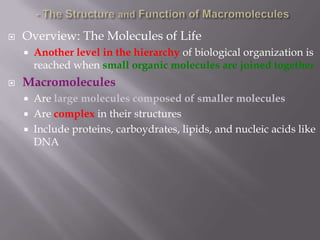    Overview: The Molecules of Life
       Another level in the hierarchy of biological organization is
        reached when small organic molecules are joined together
   Macromolecules
       Are large molecules composed of smaller molecules
       Are complex in their structures
       Include proteins, carboydrates, lipids, and nucleic acids like
        DNA
 