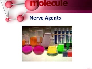 Nerve Agents
 
