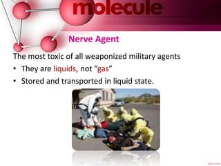 Nerve Agent
The most toxic of all weaponized military agents
• They are liquids, not “gas”
• Stored and transported in liquid state.
 