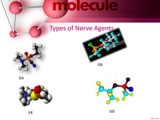 Types of Nerve Agents
GA
GB
VX GD
 