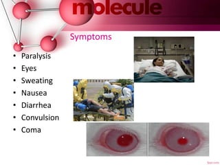 Symptoms
• Paralysis
• Eyes
• Sweating
• Nausea
• Diarrhea
• Convulsion
• Coma
 