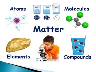 Chemistry and the Human Body. ppt. | PPT