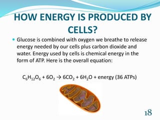 HOW ENERGY IS PRODUCED BY
CELLS?
 Glucose is combined with oxygen we breathe to release
energy needed by our cells plus carbon dioxide and
water. Energy used by cells is chemical energy in the
form of ATP. Here is the overall equation:
C6H12O6 + 6O2 → 6CO2 + 6H2O + energy (36 ATPs)
18
 