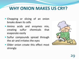 WHY ONION MAKES US CRY?
 Chopping or slicing of an onion
breaks down its cells
 Amino acids and enzymes mix,
creating sulfur chemicals that
evaporate easily
 Sulfur compounds spread through
the air and irritates the eyes
 Older onion create this effect most
strongly
29
 