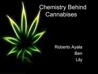 Chemistry Behind
  Cannabises




     Roberto Ayala
              Ben
               Lily
 