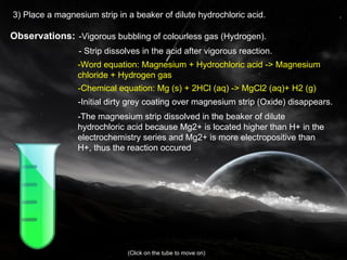 3) Place a magnesium strip in a beaker of dilute hydrochloric acid. Observations: -Vigorous bubbling of colourless gas (Hydrogen). - Strip dissolves in the acid after vigorous reaction. -Word equation: Magnesium + Hydrochloric acid -> Magnesium chloride + Hydrogen gas  -Chemical equation: Mg (s) + 2HCl (aq) -> MgCl2 (aq)+ H2 (g) -Initial dirty grey coating over magnesium strip (Oxide) disappears. -The magnesium strip dissolved in the beaker of dilute hydrochloric acid because  Mg2+ is located higher than H+ in the electrochemistry series  and  Mg2+ is more electropositive than H+ , thus the reaction occured   (Click on the tube to move on) 