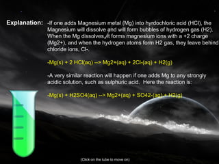 Explanation: -If one adds Magnesium metal (Mg) into hyrdochloric acid (HCl), the Magnesium will dissolve and will form bubbles of hydrogen gas (H2).  When the Mg dissolves, it forms magnesium ions with a +2 charge (Mg2+), and when the hydrogen atoms form H2 gas, they leave behind chloride ions, Cl-.  -Mg(s) + 2 HCl(aq) --> Mg2+(aq) + 2Cl-(aq) + H2(g)  -A very similar reaction will happen if one adds Mg to any strongly acidic solution, such as sulphuric acid.  Here the reaction is:  -Mg(s) + H2SO4(aq) --> Mg2+(aq) + SO42-(aq) + H2(g)  (Click on the tube to move on) 