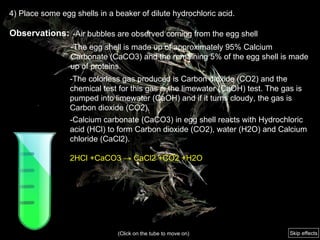 4) Place some egg shells in a beaker of dilute hydrochloric acid. Observations:  -The egg shell is made up of approximately 95% Calcium Carbonate (CaCO3) and the remaining 5% of the egg shell is made up of proteins. -Air bubbles are observed coming from the egg shell  -The colorless gas produced is Carbon dioxide (CO2) and the chemical test for this gas is the limewater (CaOH) test. The gas is pumped into limewater (CaOH) and if it turns cloudy, the gas is Carbon dioxide (CO2). -Calcium carbonate (CaCO3) in egg shell reacts with Hydrochloric acid (HCl) to form Carbon dioxide (CO2), water (H2O) and Calcium chloride (CaCl2). 2HCl +CaCO3 -> CaCl2 +CO2 +H2O  (Click on the tube to move on) Skip effects 