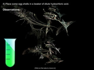 4) Place some egg shells in a beaker of dilute hydrochloric acid. Observations:  (Click on the tube to move on) 