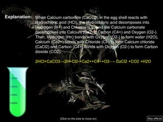 Explanation: When Calcium carbonate (CaCO3) in the egg shell reacts with Hydrochloric acid (HCl),  t he Hydrochloric acid decomposes into Hydrogen (H+) and Chlorine (Cl-) and the Calcium carbonate decomposes into Calcium (Ca2+), Carbon (C4+) and Oxygen (O2-).  Then, Hydrogen (H+) bonds with Oxygen (O2-) to form water (H2O),  Calcium (Ca2+) bonds with Chloride (Cl-) to form Calcium chloride (CaCl2) and   Carbon (C4+) bonds with Oxygen (O2-) to form Carbon dioxide (CO2). 2HCl+CaCO3->2H+Cl2-+Ca2++C4++O2--> CaCl2 +CO2 +H2O  (Click on the tube to move on) Skip effects 