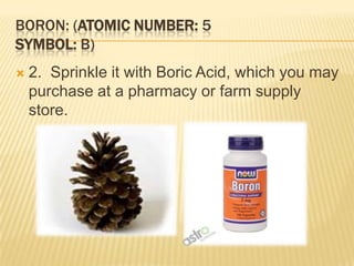 BORON: (ATOMIC NUMBER: 5
SYMBOL: B)
 2. Sprinkle it with Boric Acid, which you may
purchase at a pharmacy or farm supply
store.
 