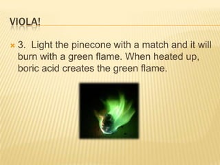 VIOLA!
 3. Light the pinecone with a match and it will
burn with a green flame. When heated up,
boric acid creates the green flame.
 