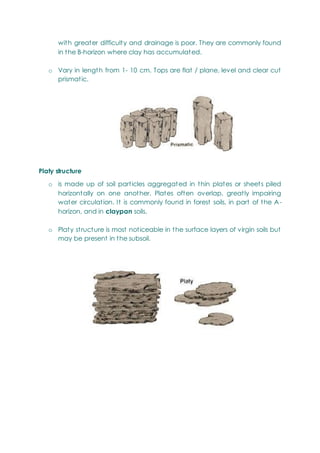 with greater difficulty and drainage is poor. They are commonly found
in the B-horizon where clay has accumulated.
o Vary in length from 1- 10 cm. Tops are flat / plane, level and clear cut
prismatic.
Platy structure
o is made up of soil particles aggregated in thin plates or sheets piled
horizontally on one another. Plates often overlap, greatly impairing
water circulation. It is commonly found in forest soils, in part of the A-
horizon, and in claypan soils.
o Platy structure is most noticeable in the surface layers of virgin soils but
may be present in the subsoil.
 