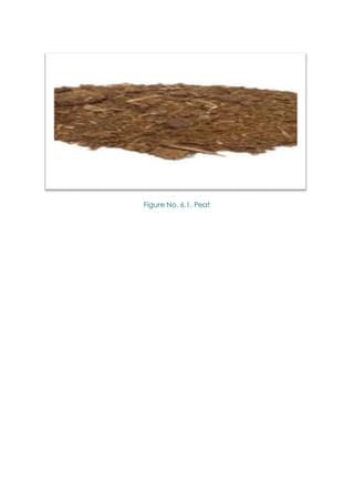 Figure No. 6.1. Peat
 