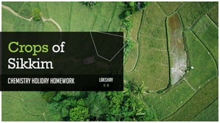 Crops Of Sikkim - Chemistry Holiday Homework