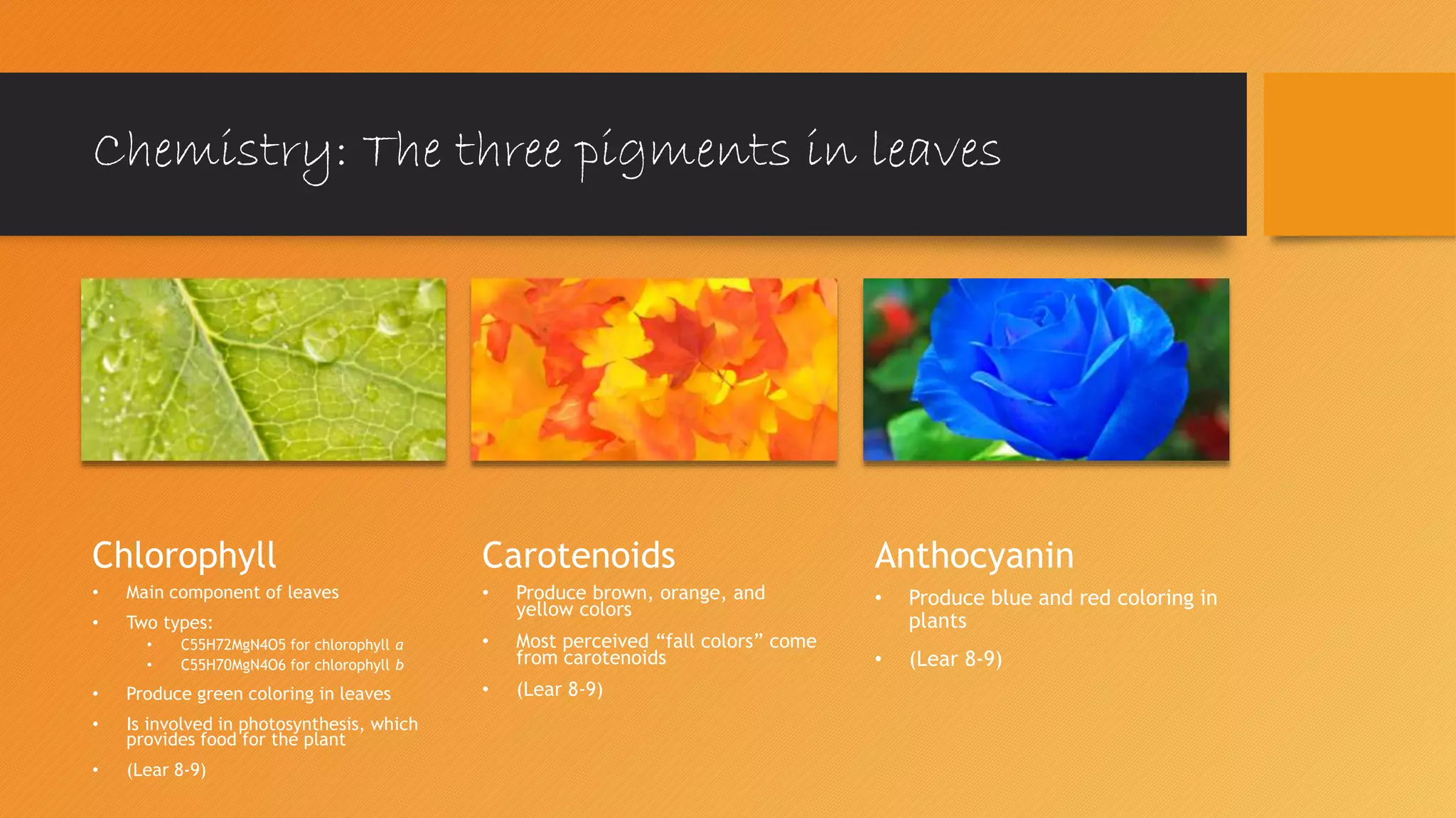 Chemistry of the Fall | PPTX