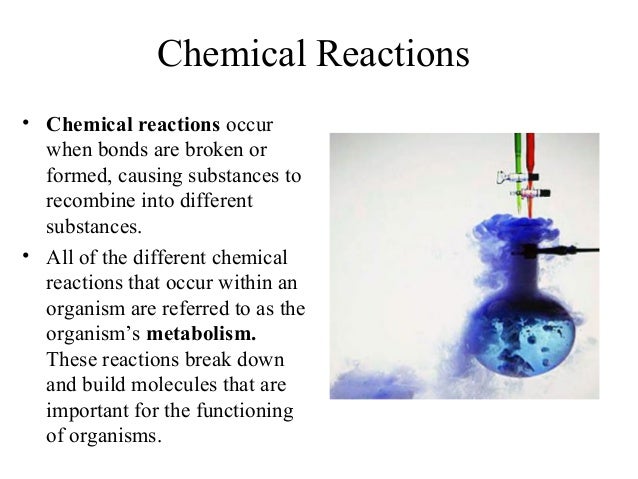 Chemistry in biology i simple