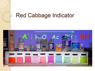 Red Cabbage Indicator
 