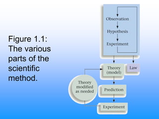 Figure 1.1:
The various
parts of the
scientific
method.
 