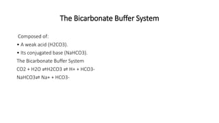 The Bicarbonate Buffer System
Composed of:
• A weak acid (H2CO3).
• Its conjugated base (NaHCO3).
The Bicarbonate Buffer System
CO2 + H2O ⇌H2CO3 ⇌ H+ + HCO3-
NaHCO3⇌ Na+ + HCO3-
 