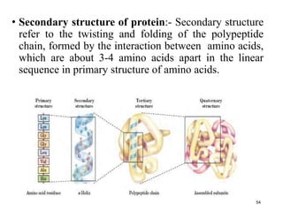 chemistry of amino acids and proteins for I AHS.pdf