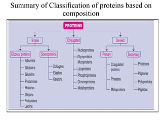 chemistry of amino acids and proteins for I AHS.pdf
