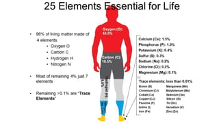Microelement Human Chemistry of atoms and molecules of our body | PDF