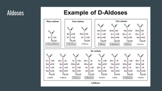 Chemistry of carbohydrates - General introduction and classification | PDF