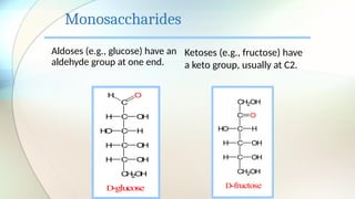 Monosaccharides
Aldoses (e.g., glucose) have an
aldehyde group at one end.
Ketoses (e.g., fructose) have
a keto group, usually at C2.
C
C O
H
H
C H
H
O
C O
H
H
C O
H
H
C
H
2O
H
D
-glucose
O
H
C H
HO
C OH
H
C OH
H
CH2OH
CH2OH
C O
D-fructose
 
